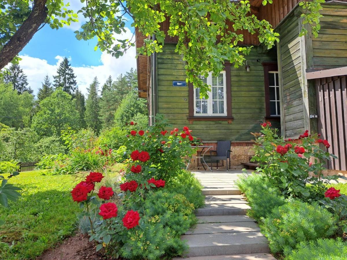 Turisma Mitne Zviedri Apartment Ligatne Exterior photo